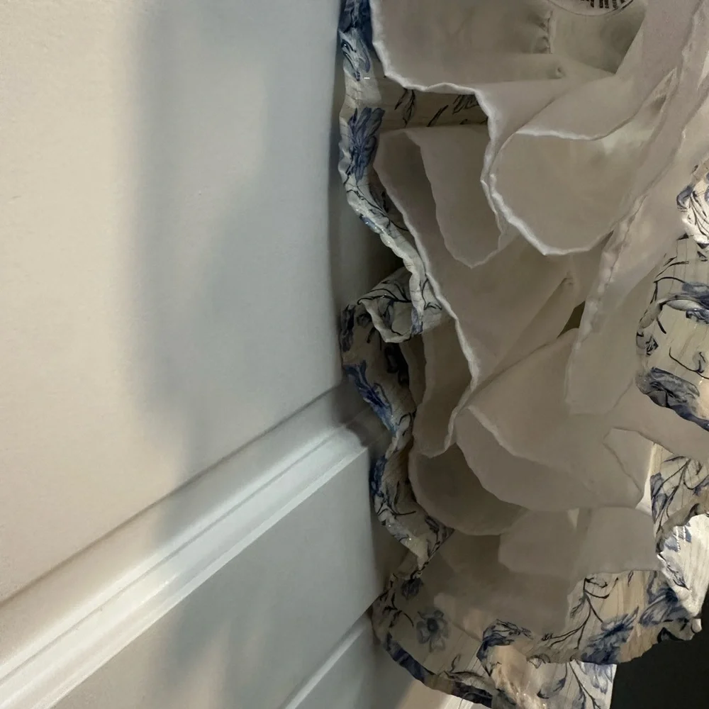 Floral Blue and White Dress - Picture 10 of 12